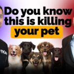 From Finance to Pet Care: The Inspiring Journey of Manish Paul
